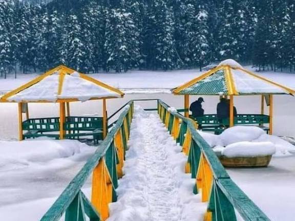 dalhousie